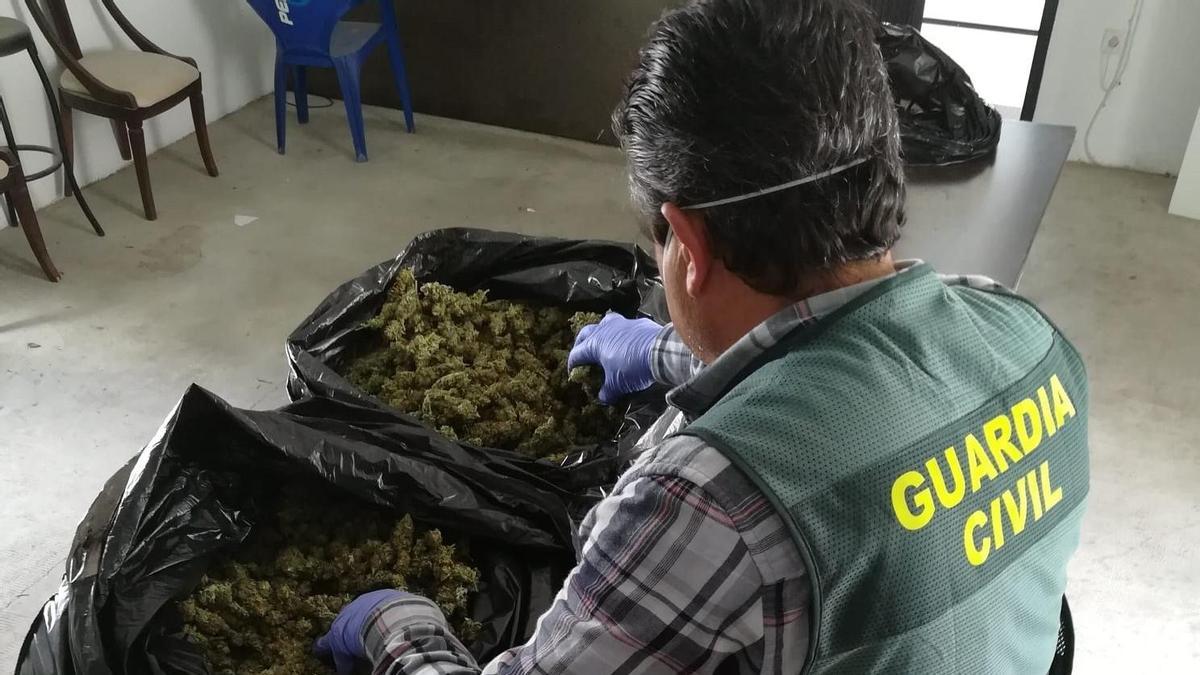 Marihuana interceptada por la Guardia Civil.