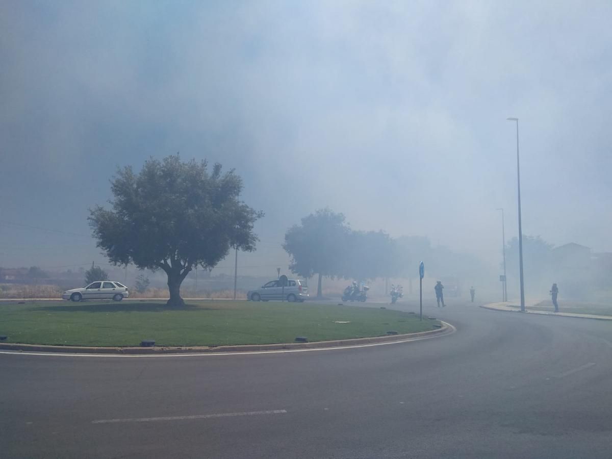 Incendio de pastos en la Ronda Norte de Badajoz