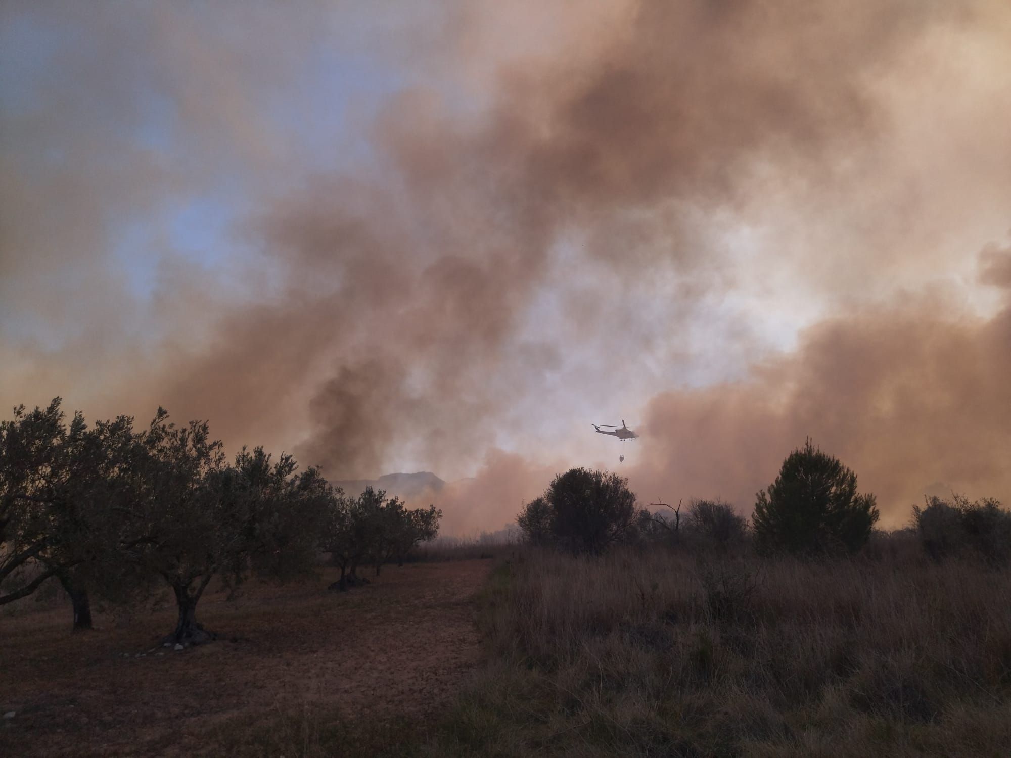 Declarado un incendio en el barranco de la Hiedra en Xàbia, cerca del Montgó