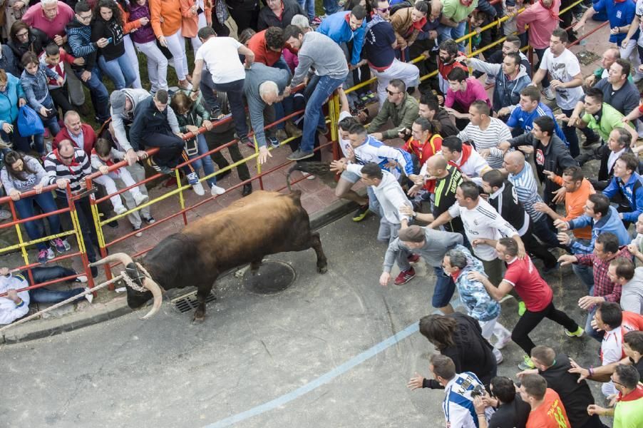 Enmaromado 2016: Lechugazo da la talla