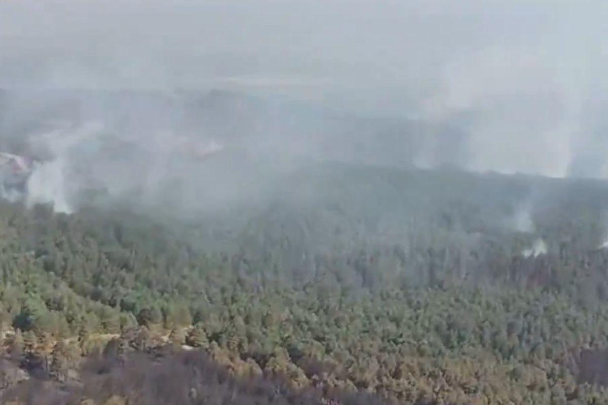 El incendio forestal en La Mierla (Guadalajara), declarado el pasado 16 de julio, ha calcinado por el momento 32.000 hectáreas