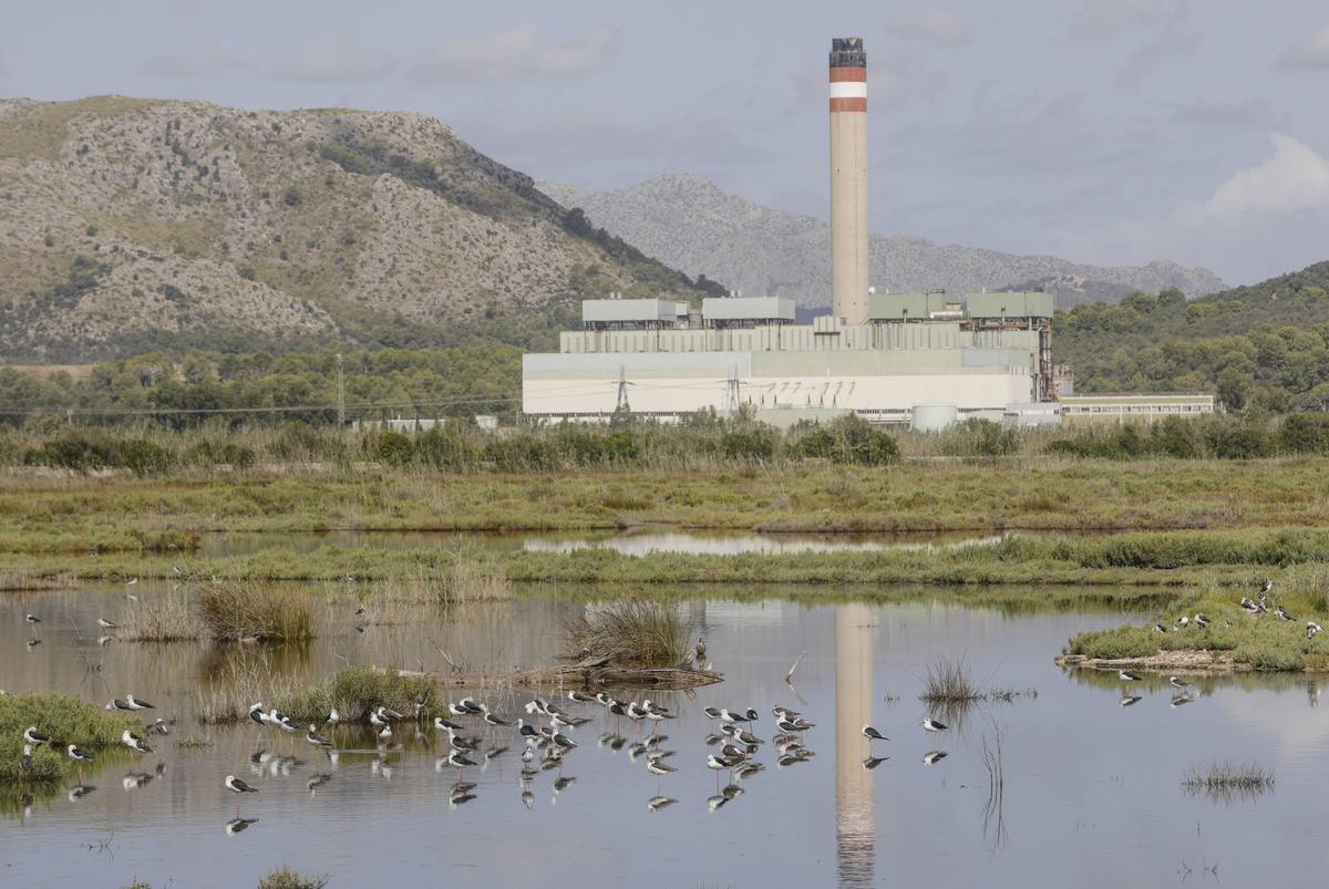 La central térmica de Es Murterar ante una laguna.