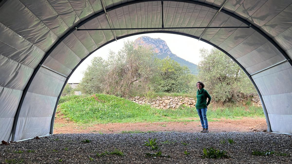 La propietària de Bolets Peratxa, Jordina Sánchez Amat, a l&#039;exterior d&#039;un hivernacles en construcció on es cultivaran gírgoles ecològiques i on es veu la muntanya de Santa Fe