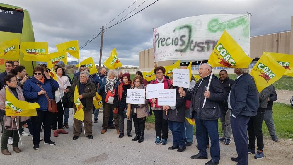 Los agricultores se manifiestan en Málaga contra la bajada de precios