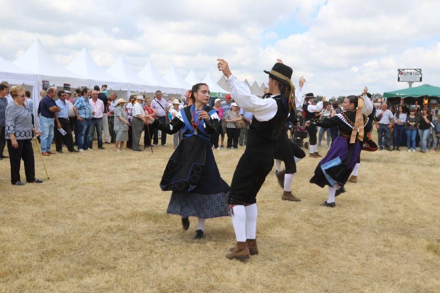 Feria de la Raza Sayaguesa en Bermillo