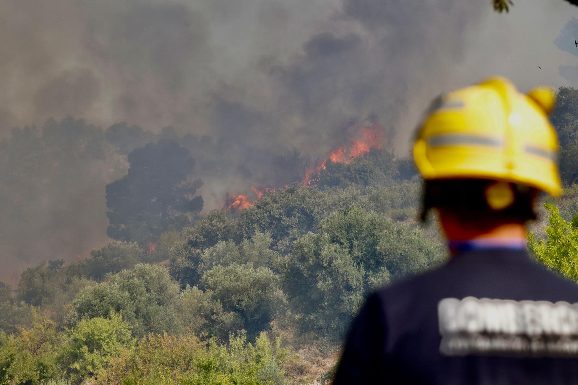 Tras cuatro días de incendio en la Vall d'Ebo, la climatología puede ponerse a favor de los bomberos.