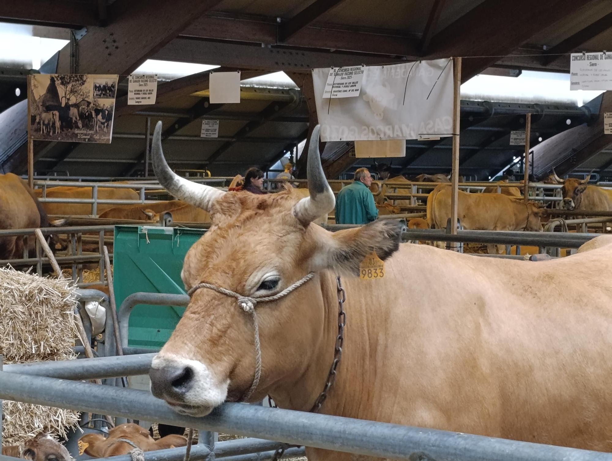 Arranca Agrosiero en La Pola