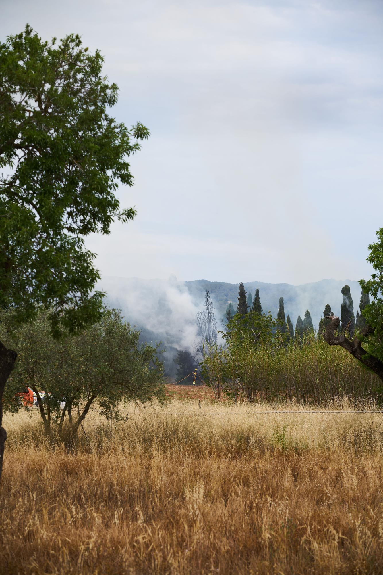 Todas las fotos del incendio en una finca agrícola de ses Païses