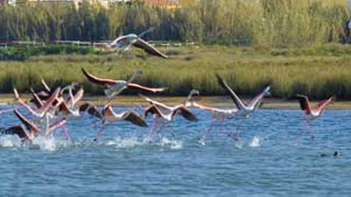 Ganadores de dos estancias en el Algarve