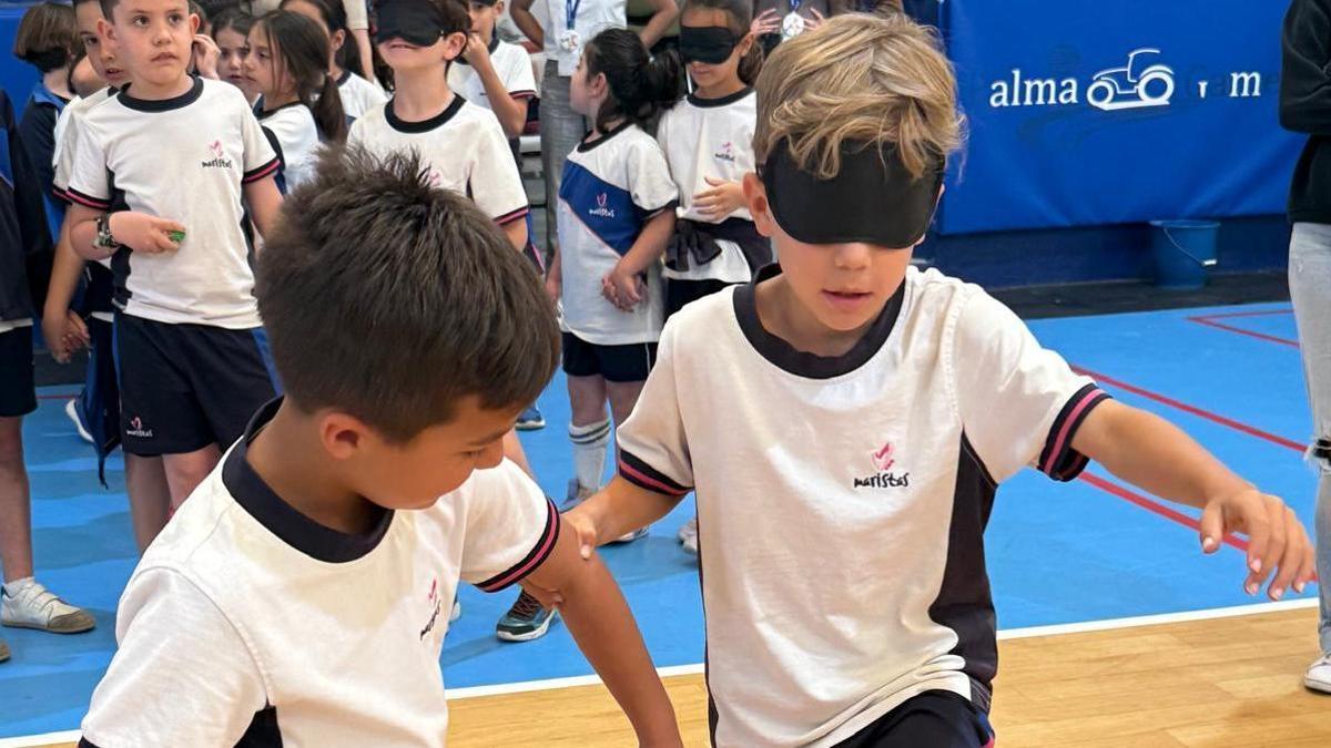 Los alumnos se acercaron a las diferentes capacidades a través de las actividades.