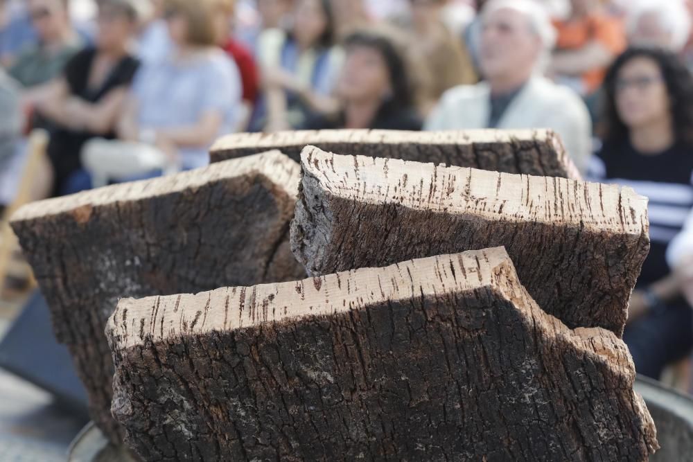 Fira del Tap i el Suro de Cassà de la Selva