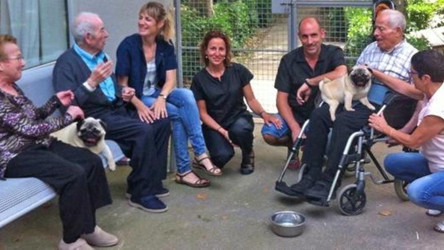 Sessió de teràpia canina amb la gent gran de la residència Sant Bernabé