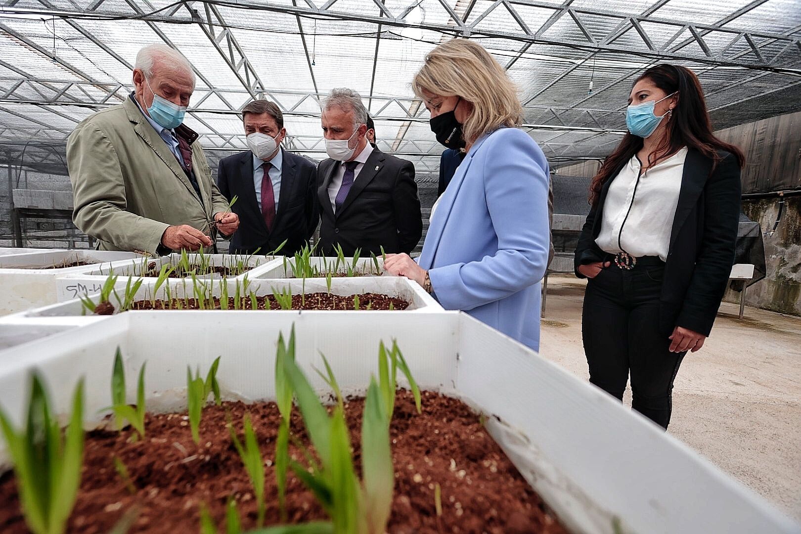 Visita a Tenerife de Luis Planas