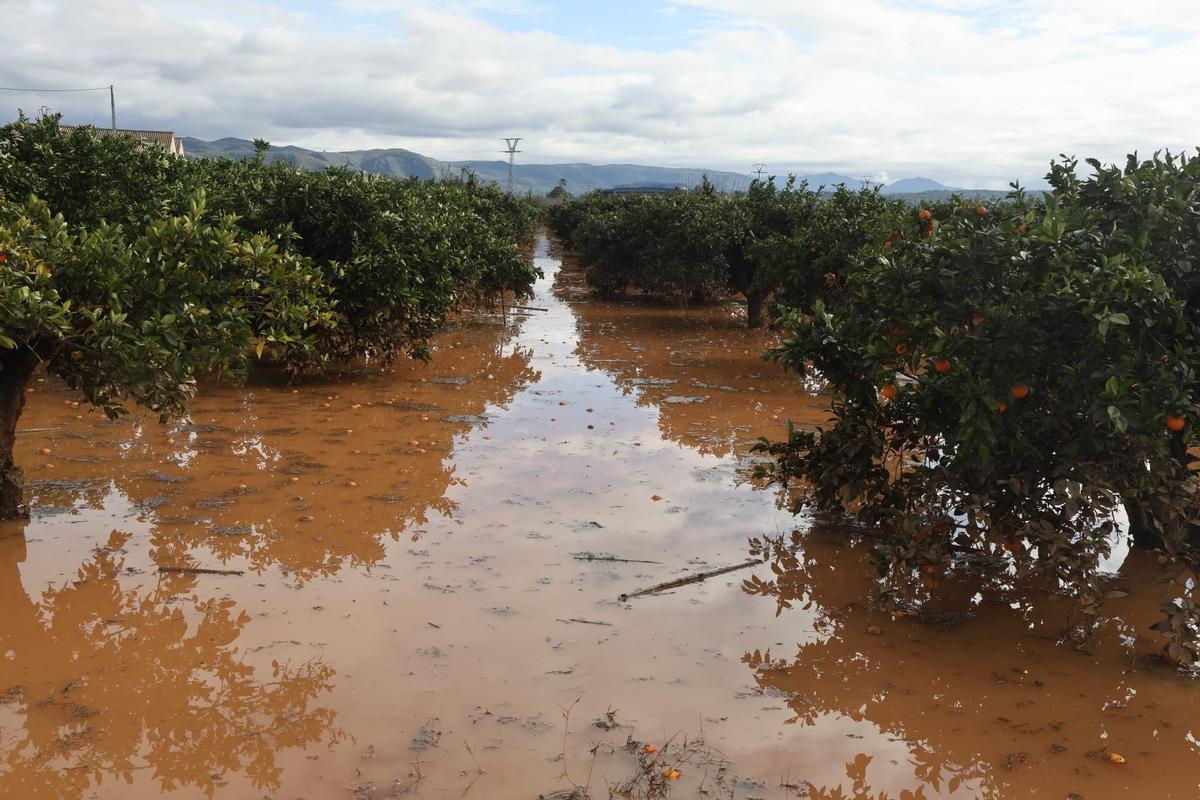 Vecinos de Cogullada limpian en barro de sus casas tras la inundación Vecinos de Cogullada limpian en barro de sus casas tras la inundación