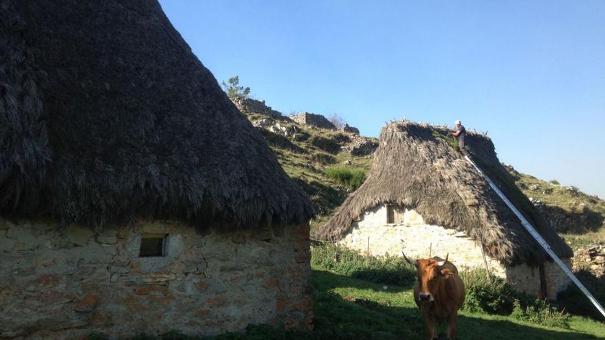 Teitos en la braña de Urdiales, en  Somiedo. |  M. Riera