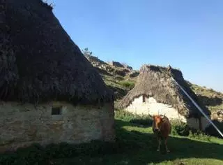 El PERTE agroalimentario rechaza una ecoquesería en los teitos de Somiedo