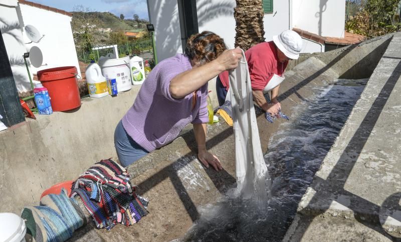 16/01/2019 VALLESECO. Frio y cosechas afectadas por las heladas en Valleseco. FOTO: J. PÉREZ CURBELO  | 16/01/2019 | Fotógrafo: José Pérez Curbelo