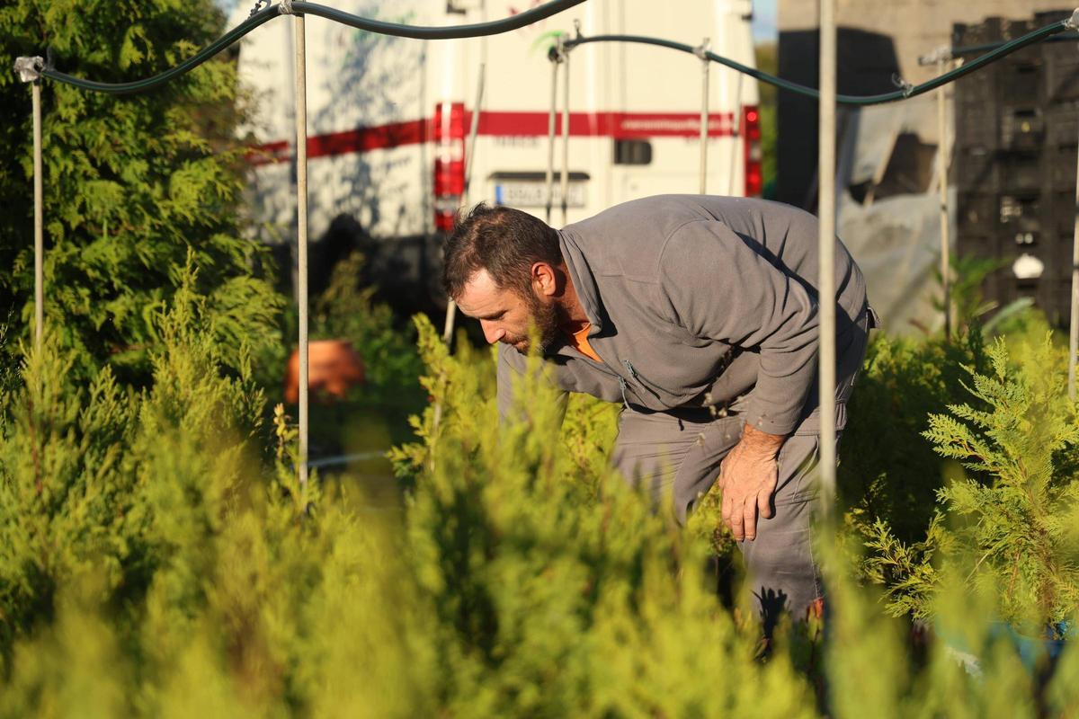 La producción de Vieites llega a prácticamente todos los cementerios de la península.