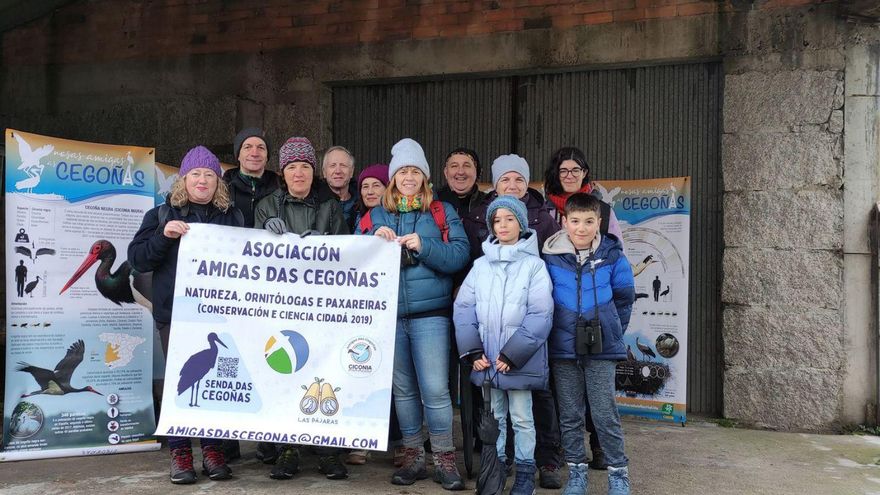 Las cigüeñas buscan nuevas amigas