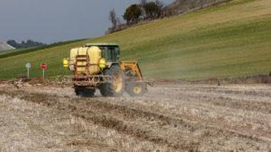 Trabajos agrícolas en el campo