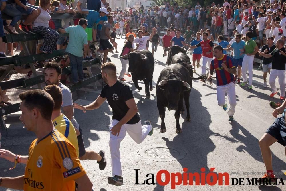 Primer encierro de Calasparra