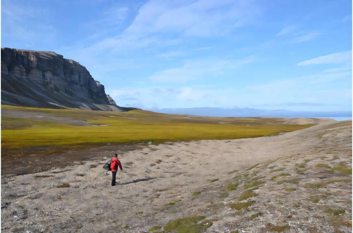 Las turberas árticas se están expendiendo.
