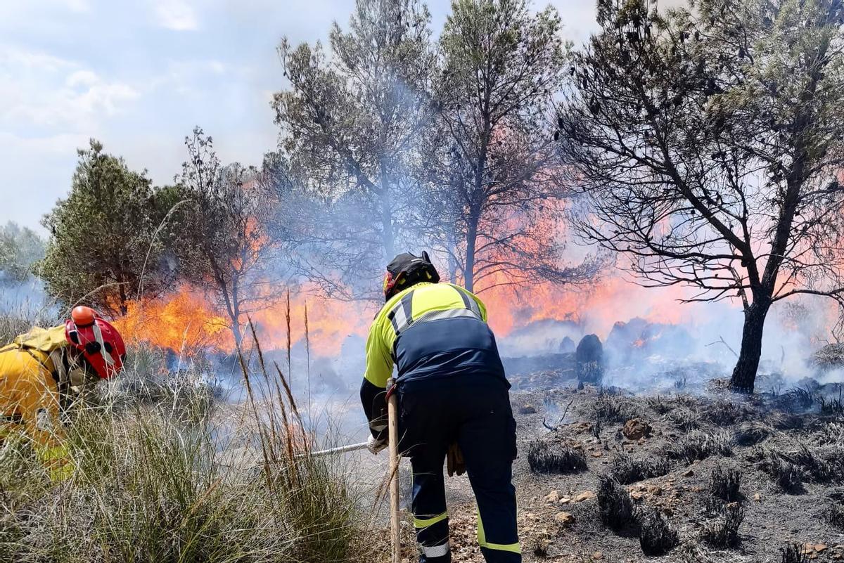 Dos bomberos trabajan en la extinción del incendio de Sierra Espuña