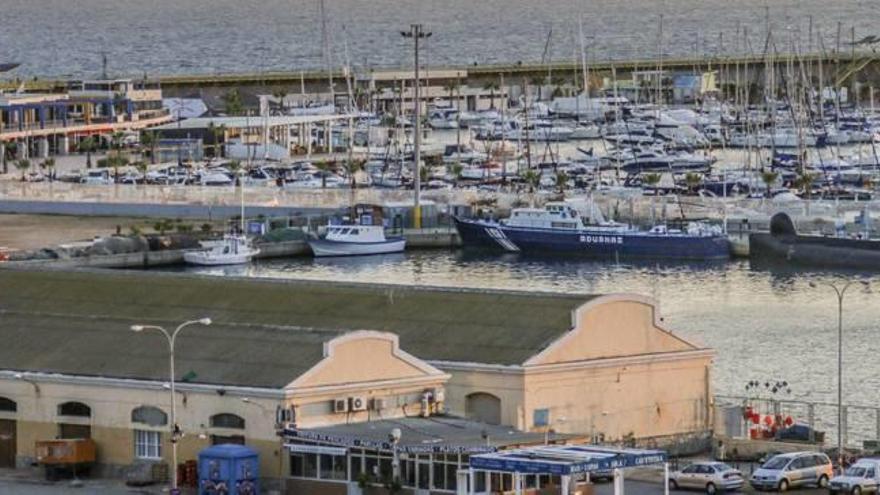 El Consell elude proteger la lonja en la reordenación del Puerto de Torrevieja