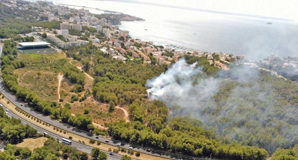 Oleada de incendios en Mallorca