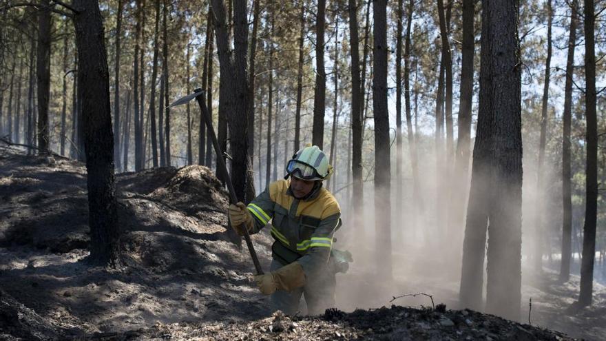 Un bombero trabajando en el reciente incendio de Verín, Vilardevós y Riós. // Brais Lorenzo
