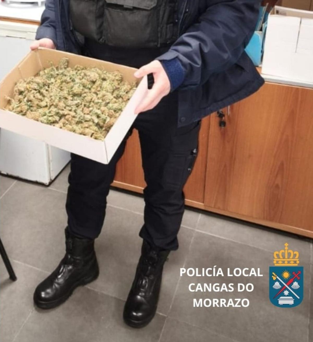 La droga incautada por la Policía Local.