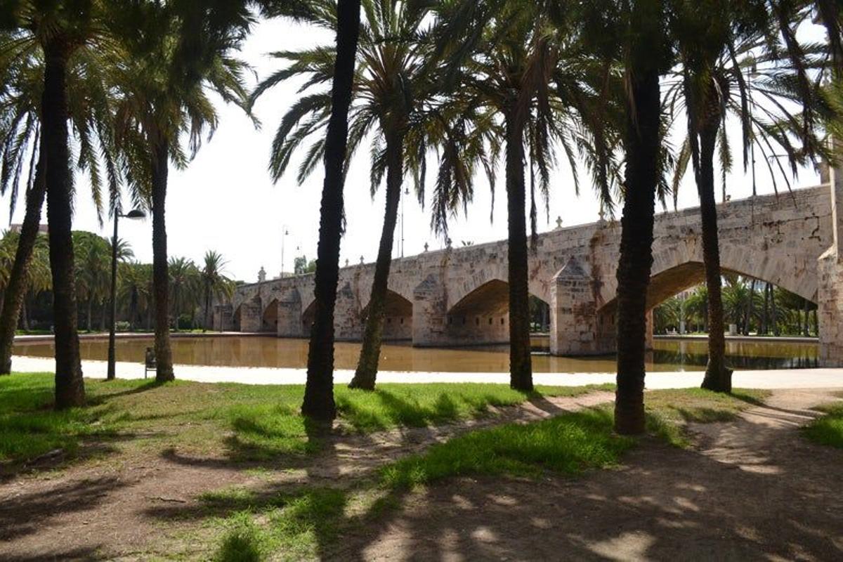 #1- Antiguo Cauce del Río Turia - Valencia