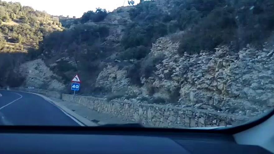 Cabras en Morella