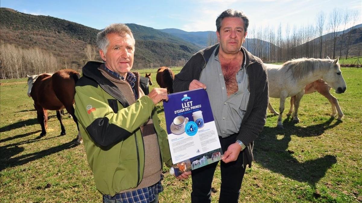 Jordi Baró y Josep Peró comercializan la leche de sus yeguas