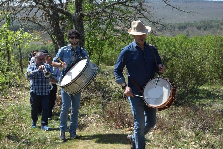 Romería de San Blas y San Mamés en Tábara