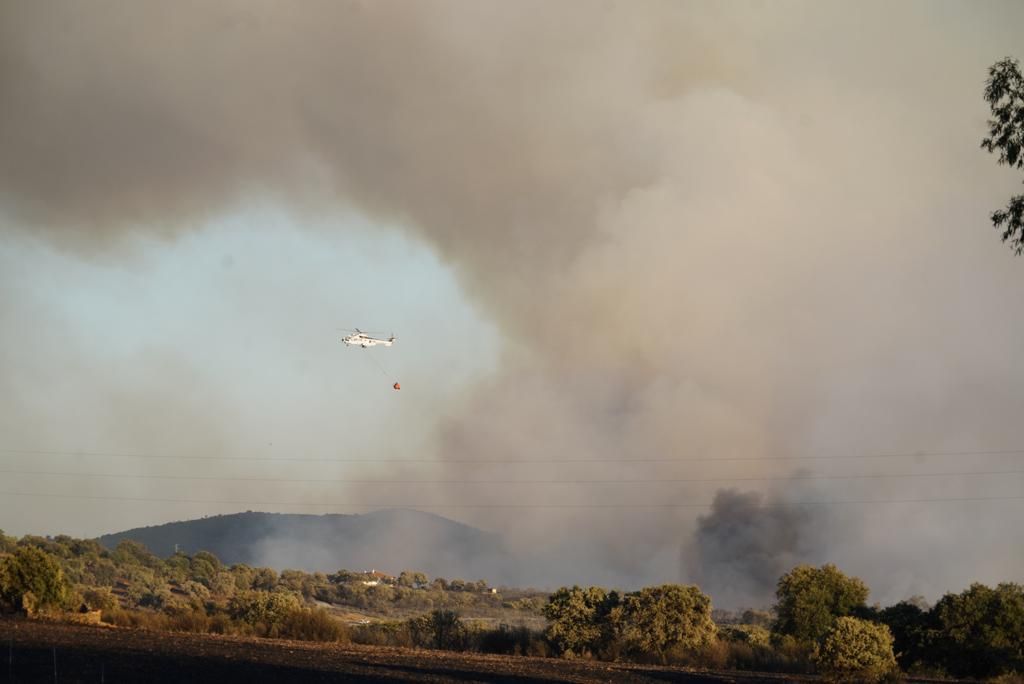 Incendio forestal en en el puerto del Calatraveño