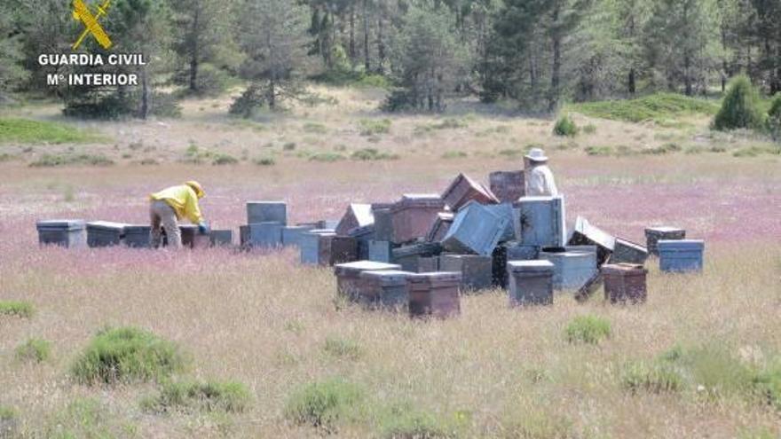 La Guardia Civil investiga a una persona por sustraer 55 colmenas de abejas en Teruel