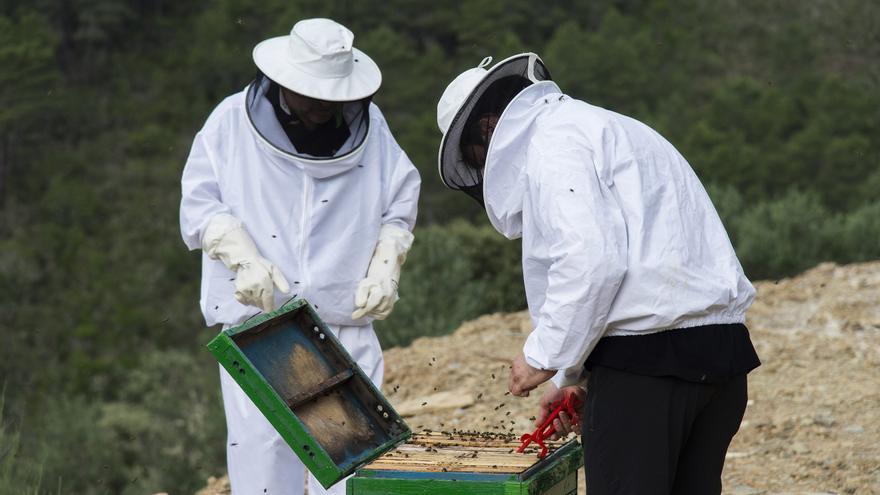 Un centro de abejas reinas  para  Las Hurdes