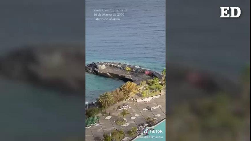 Un vídeo grabado en Tenerife durante la cuarentena viraliza en las redes sociales