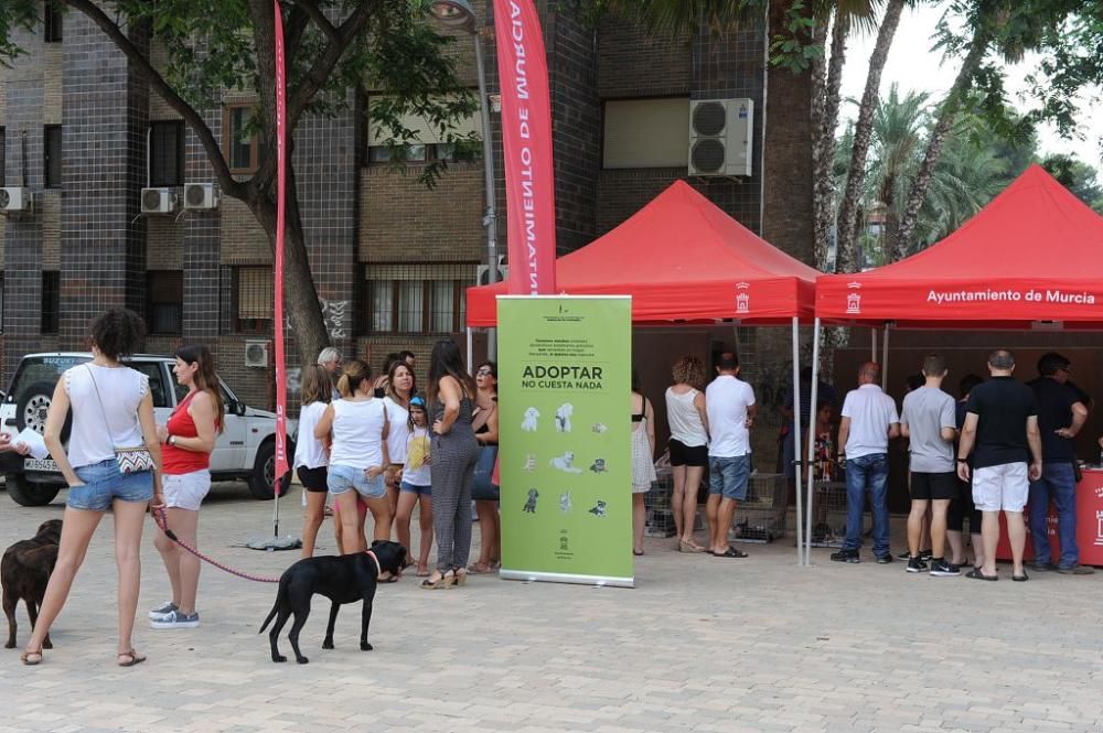 Muestra de mascotas en La Fama