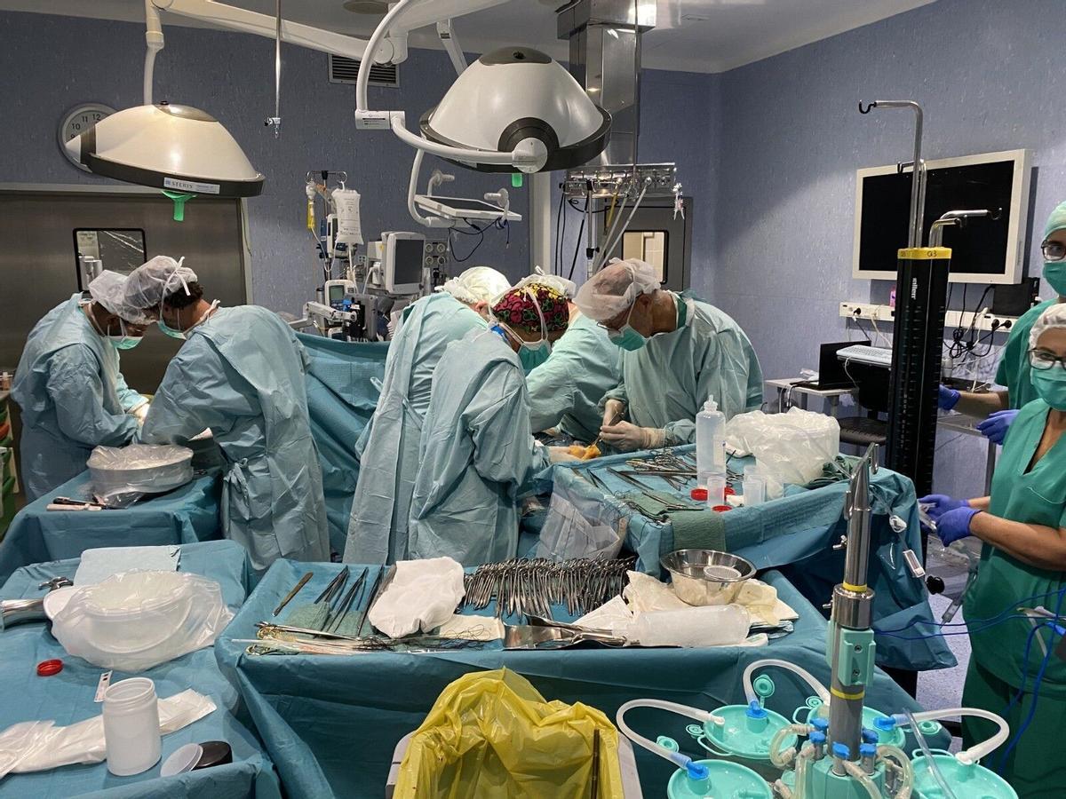 Primera intervención de donación cardíaca en asistolia controlada, es decir, con el corazón parado, del L’Hospital Universitari de Girona Dr. Josep Trueta. 30/08/2024 Este tipo de donación permitirá incrementar el número potencial de donantes y la disponibilidad de órganos para un trasplante cardiaco CATALUÑA ESPAÑA EUROPA GIRONA SALUD HOSPITAL JOSEP TRUETA. TRASPLANTE. QUIROFANO. CORAZON. HOSPITAL UNIVERSITARIO