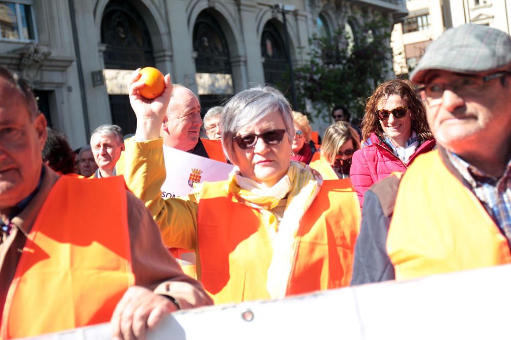 Manifestación en defensa del sector citrícola