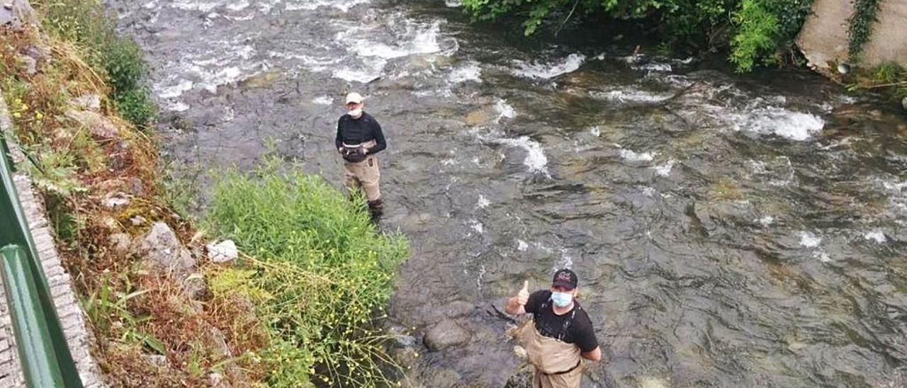 Los pescadores se ausentan del coto de Mieres, esquilmado por el cormorán