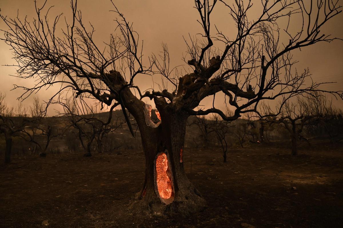 La Comissió Europea adverteix que Grècia afronta l’«incendi més gran del qual es té registre a la UE»