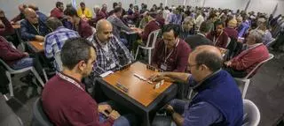 Elche, capital del dominó