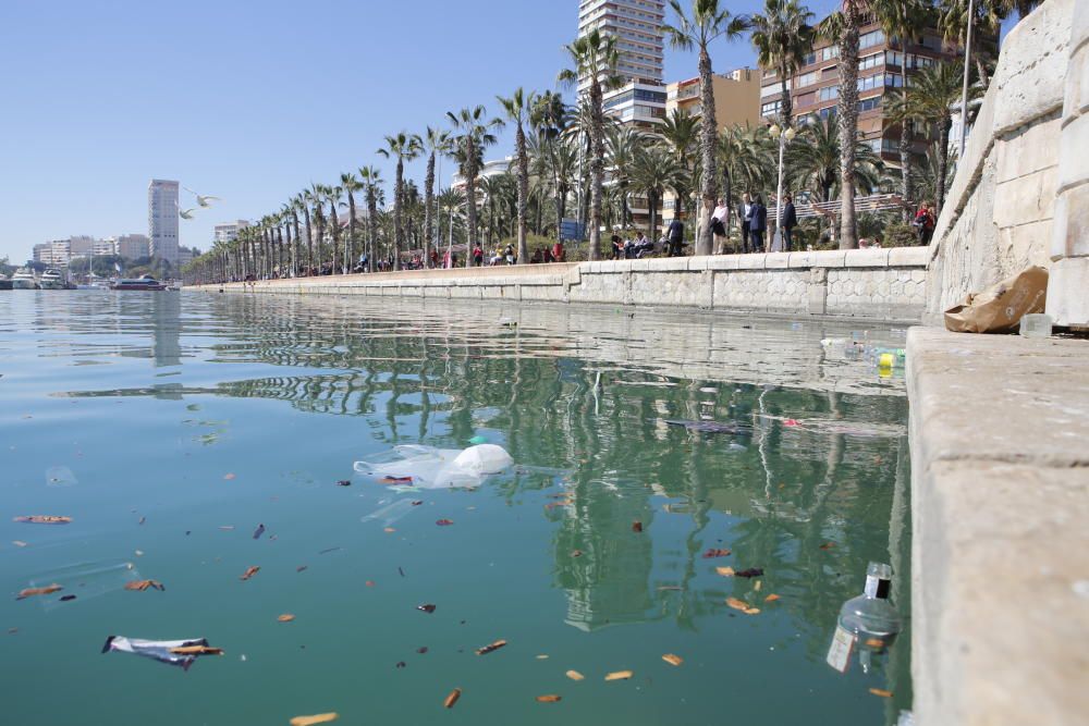 Alicante amanece disfrazada de basura