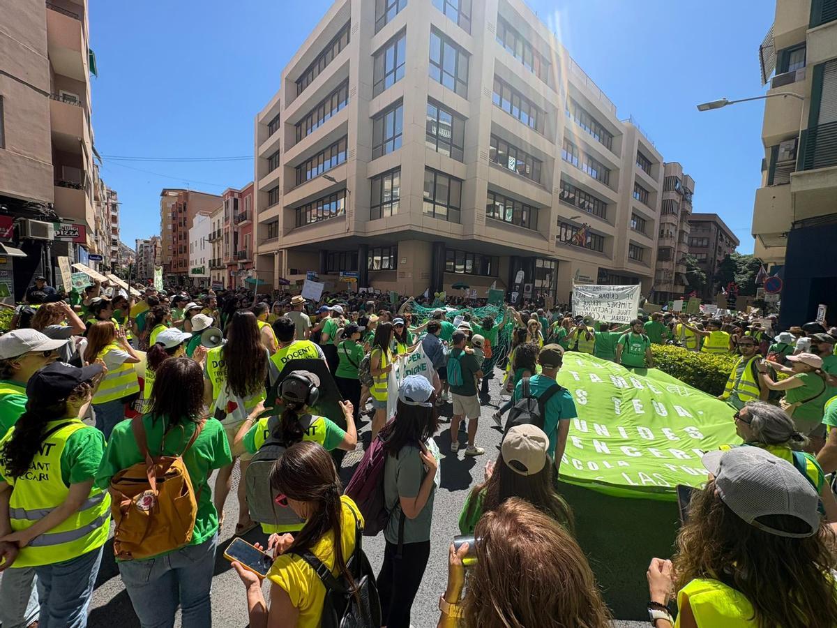 Los profesores en las inmediaciones de la delegación de Hacienda en Alicante, este viernes