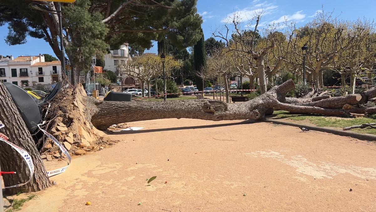 Vídeo | El temporal de viento en Catalunya deja varios heridos y rachas que rozan los 170 km/h