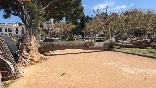Vídeo | El temporal de viento en Catalunya deja varios heridos y rachas que rozan los 170 km/h