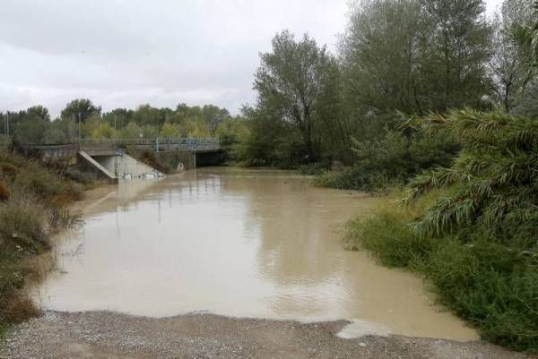 Fotogalería: Imágenes del temporal en Montañana, Zuera y Zaragoza capital